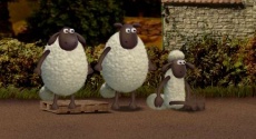 Koyun Shaun Yarışları