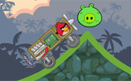Angry Birds Çılgın Yarış