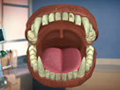 Diş Doktoru