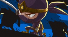 Öfkeli Ninja 2