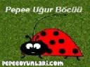 Pepe Uğur Böceği