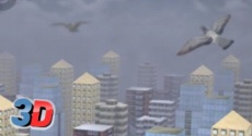 Şehir Güvercinleri 3